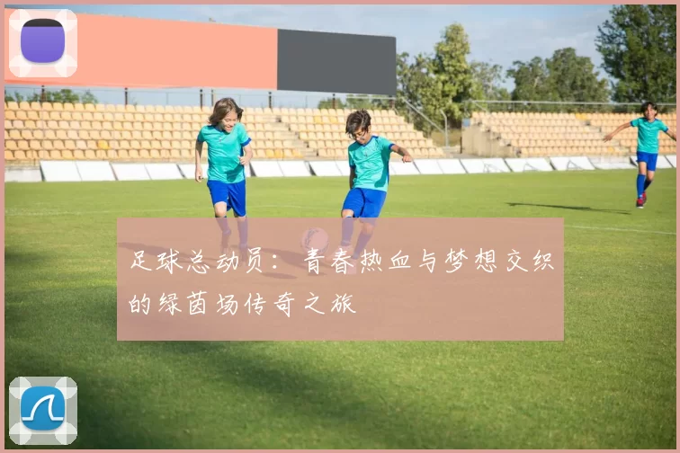 足球总动员：青春热血与梦想交织的绿茵场传奇之旅