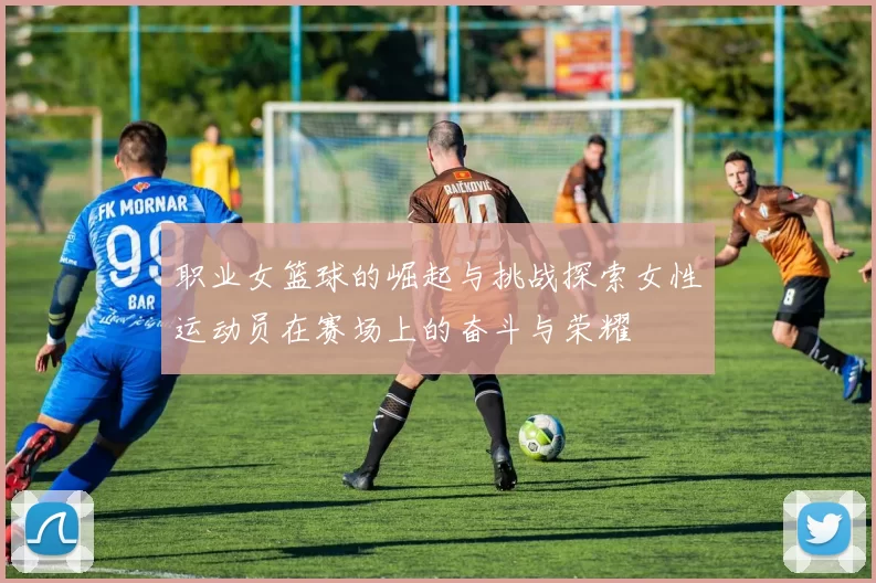 职业女篮球的崛起与挑战探索女性运动员在赛场上的奋斗与荣耀