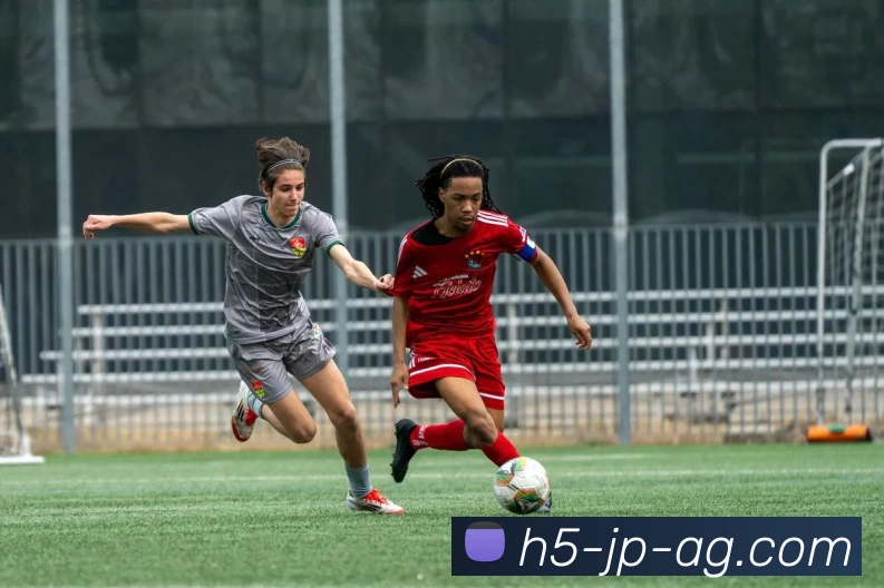 真人平台APP 体育赛事宣传图